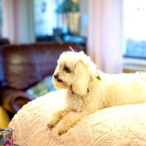 Meet your Posher, Angela